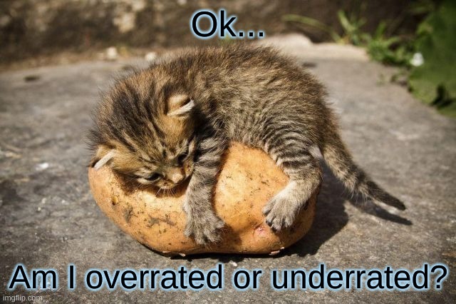 :I | Ok... Am I overrated or underrated? | made w/ Imgflip meme maker