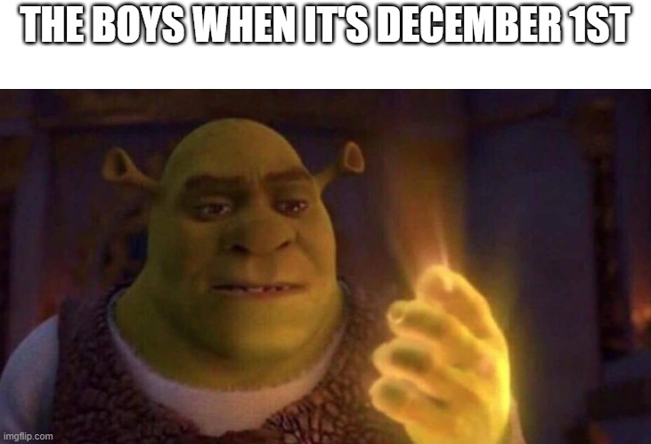 It's the most dreaded month | THE BOYS WHEN IT'S DECEMBER 1ST | image tagged in shrek glowing hand | made w/ Imgflip meme maker