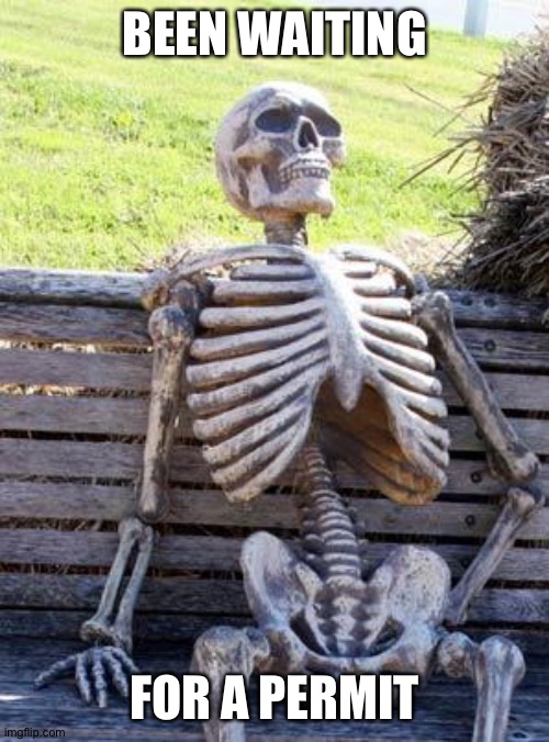 Where's my permit- | BEEN WAITING; FOR A PERMIT | image tagged in memes,waiting skeleton,permit,hahahaha,fails | made w/ Imgflip meme maker