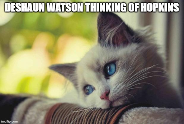 Deshaun Watson thinking of Hopkins | DESHAUN WATSON THINKING OF HOPKINS | image tagged in i miss you,deshaun watson,deandre hopkins | made w/ Imgflip meme maker