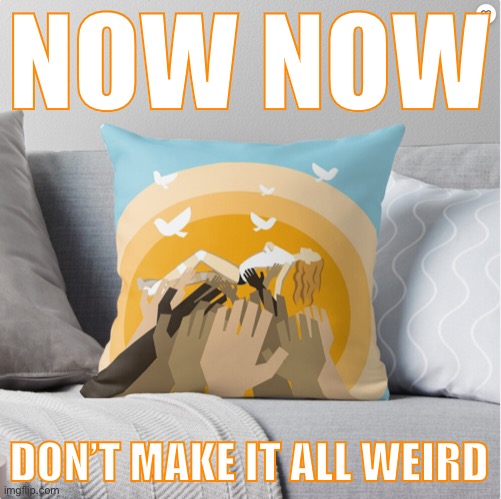 When they make it weird. | NOW NOW; DON’T MAKE IT ALL WEIRD | image tagged in kylie all the lovers throw pillow | made w/ Imgflip meme maker