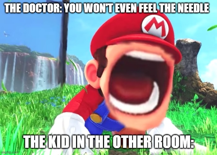 Mario screaming | THE DOCTOR: YOU WON'T EVEN FEEL THE NEEDLE; THE KID IN THE OTHER ROOM: | image tagged in mario screaming | made w/ Imgflip meme maker