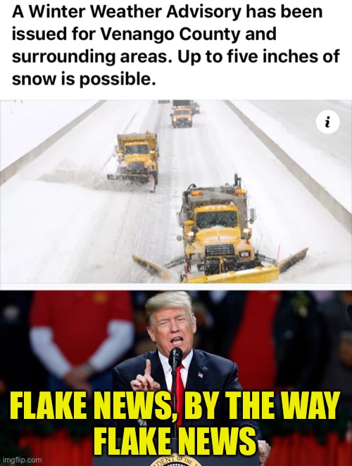 Election Forecast | FLAKE NEWS, BY THE WAY
FLAKE NEWS | image tagged in snow,weather,election,trump,flake news,fake news | made w/ Imgflip meme maker