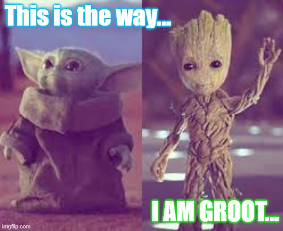 Baby Yoda & Baby Groot | This is the way... I AM GROOT... | image tagged in baby yoda vs baby groot | made w/ Imgflip meme maker