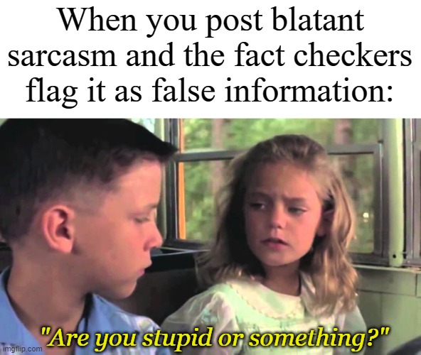 Are you stupid or something | When you post blatant sarcasm and the fact checkers flag it as false information:; "Are you stupid or something?" | image tagged in are you stupid or something | made w/ Imgflip meme maker