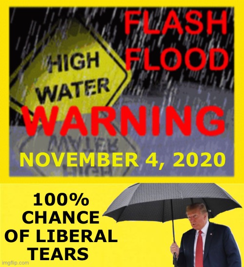 Flash Flood Warning | 100% CHANCE OF LIBERAL TEARS; NOVEMBER 4, 2020 | image tagged in liberal tears,election 2020,donald trump | made w/ Imgflip meme maker