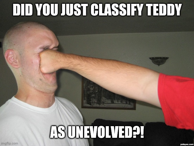 Face punch | DID YOU JUST CLASSIFY TEDDY AS UNEVOLVED?! | image tagged in face punch | made w/ Imgflip meme maker