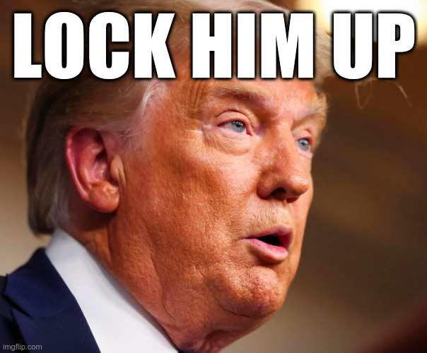 Lock Him Up | LOCK HIM UP | image tagged in trump,criminal negligence,criminal behavior,malignant narcissist,golfs rather than governs | made w/ Imgflip meme maker