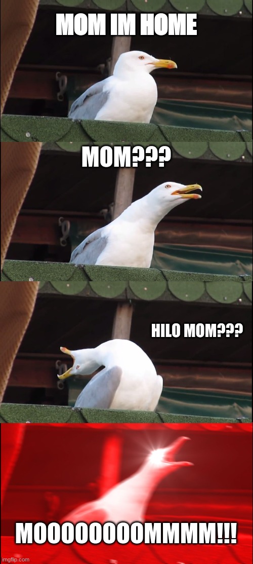 Inhaling Seagull | MOM IM HOME; MOM??? HILO MOM??? MOOOOOOOOMMMM!!! | image tagged in memes,inhaling seagull | made w/ Imgflip meme maker