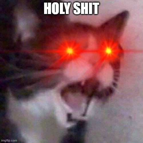 Oh S**t Screaming Cat meme (Trial was here) | HOLY SHIT | image tagged in screaming cat | made w/ Imgflip meme maker