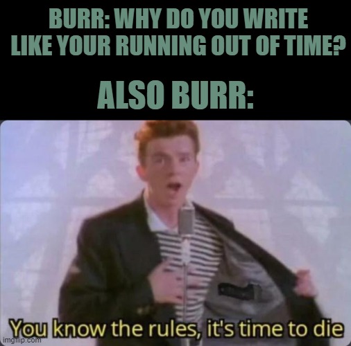 This meme was inspired ( i cant remember the user ಥ_ಥ ) | BURR: WHY DO YOU WRITE LIKE YOUR RUNNING OUT OF TIME? ALSO BURR: | image tagged in you know the rules it's time to die | made w/ Imgflip meme maker