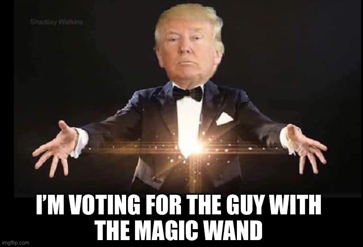 Trump magician | I’M VOTING FOR THE GUY WITH 
THE MAGIC WAND | image tagged in trump magician | made w/ Imgflip meme maker