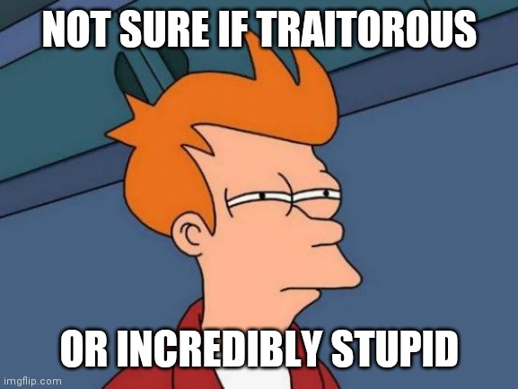 Traitor or dumb? | NOT SURE IF TRAITOROUS; OR INCREDIBLY STUPID | image tagged in memes,futurama fry | made w/ Imgflip meme maker