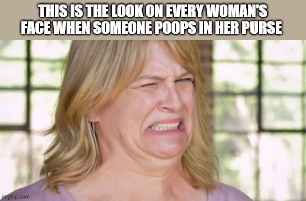 When Someone Poops In Her Purse Imgflip