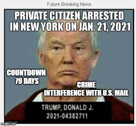 79 Days Until January 21, 2021 - COUNTDOWN In Progress - 100 Days Listing 100 Trump Crimes | CRIME
INTERFERENCE WITH U.S. MAIL; COUNTDOWN 
79 DAYS | image tagged in countdown,times running out,mafia don,corruption,crime boss,traitor | made w/ Imgflip meme maker