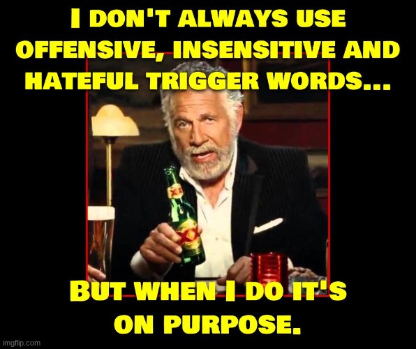 Especially when I play Call of Duty. I can't believe all the Sally's who get bent out of shape over words. | image tagged in political correctness is cancer,political correctness,politics,snowflakes | made w/ Imgflip meme maker