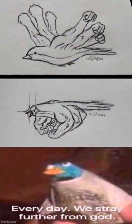 I did not draw the bird. | image tagged in everyday we stray further from god | made w/ Imgflip meme maker