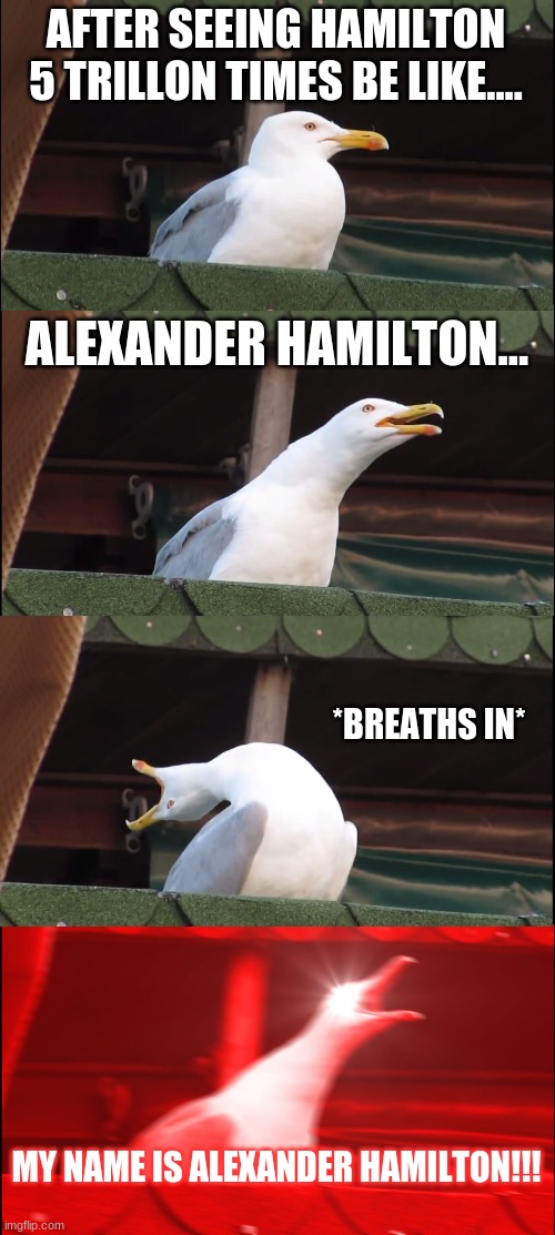 Inhaling Seagull | AFTER SEEING HAMILTON 5 TRILLON TIMES BE LIKE.... ALEXANDER HAMILTON... *BREATHS IN*; MY NAME IS ALEXANDER HAMILTON!!! | image tagged in memes,inhaling seagull | made w/ Imgflip meme maker