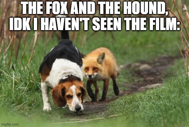 fox hound hunting dog | THE FOX AND THE HOUND, IDK I HAVEN'T SEEN THE FILM: | image tagged in fox hound hunting dog | made w/ Imgflip meme maker