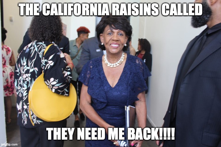 maxine waters | THE CALIFORNIA RAISINS CALLED; THEY NEED ME BACK!!!! | image tagged in idiot,moron,maxine waters | made w/ Imgflip meme maker