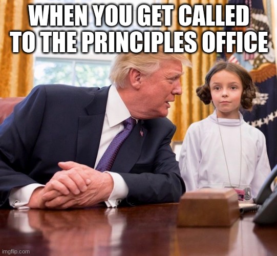 princess leia trump halloween 2017 | WHEN YOU GET CALLED TO THE PRINCIPLES OFFICE | image tagged in princess leia trump halloween 2017 | made w/ Imgflip meme maker