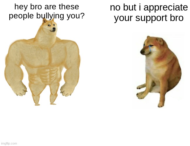 Buff Doge vs. Cheems Meme | hey bro are these people bullying you? no but i appreciate your support bro | image tagged in memes,buff doge vs cheems | made w/ Imgflip meme maker