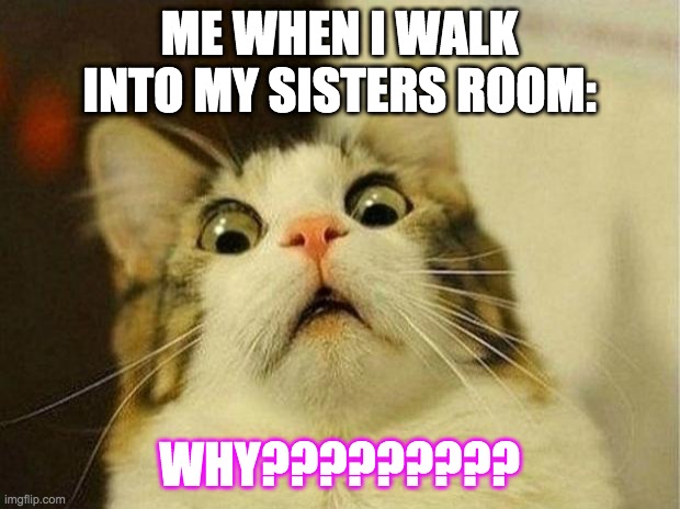 hope u like | ME WHEN I WALK INTO MY SISTERS ROOM:; WHY????????? | image tagged in memes,scared cat | made w/ Imgflip meme maker