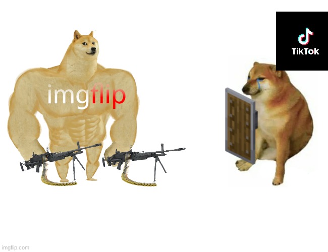 untitled image | image tagged in memes,buff doge vs cheems | made w/ Imgflip meme maker