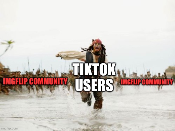 This is true lol | TIKTOK USERS; IMGFLIP COMMUNITY; IMGFLIP COMMUNITY | image tagged in memes,jack sparrow being chased,funny,tiktok,imgflip users | made w/ Imgflip meme maker