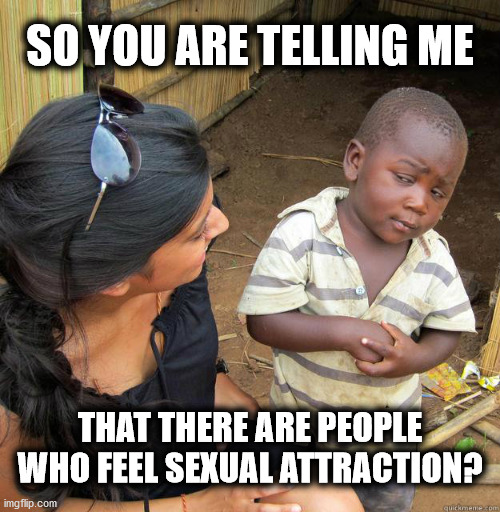 Is sexual attraction real? |  SO YOU ARE TELLING ME; THAT THERE ARE PEOPLE WHO FEEL SEXUAL ATTRACTION? | image tagged in skeptical black boy,aroace,ace | made w/ Imgflip meme maker