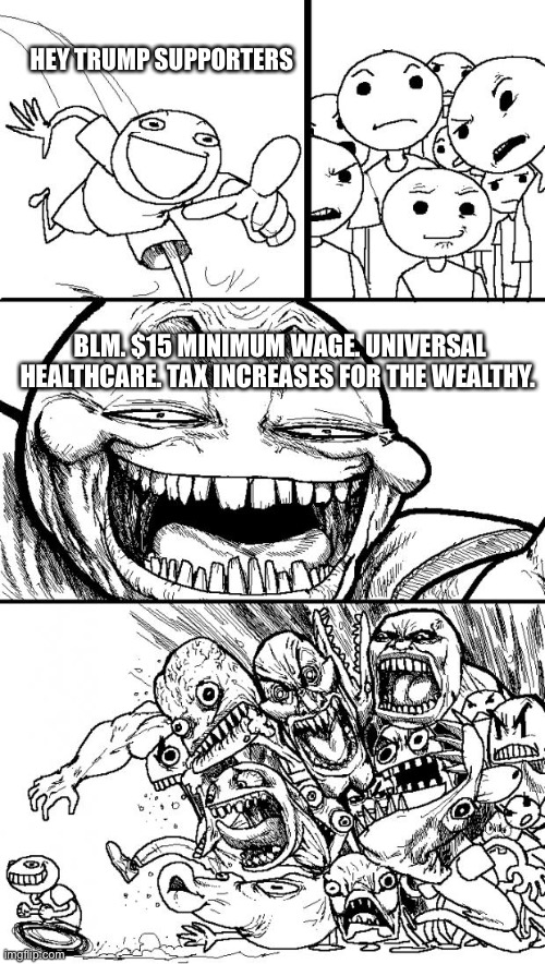 Hey Internet Meme | HEY TRUMP SUPPORTERS; BLM. $15 MINIMUM WAGE. UNIVERSAL HEALTHCARE. TAX INCREASES FOR THE WEALTHY. | image tagged in memes,hey internet | made w/ Imgflip meme maker