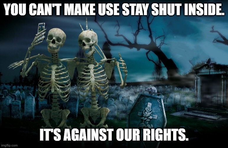 Undead Rights | YOU CAN'T MAKE USE STAY SHUT INSIDE. IT'S AGAINST OUR RIGHTS. | image tagged in graveyard tourists | made w/ Imgflip meme maker