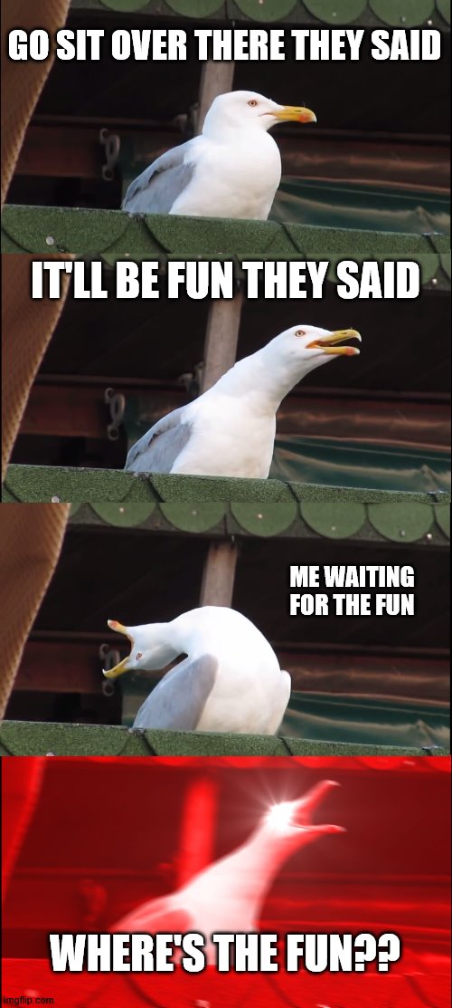 Inhaling Seagull Meme | GO SIT OVER THERE THEY SAID; IT'LL BE FUN THEY SAID; ME WAITING FOR THE FUN; WHERE'S THE FUN?? | image tagged in memes,inhaling seagull | made w/ Imgflip meme maker