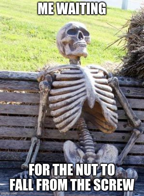 Waiting Skeleton Meme | ME WAITING FOR THE NUT TO FALL FROM THE SCREW | image tagged in memes,waiting skeleton | made w/ Imgflip meme maker