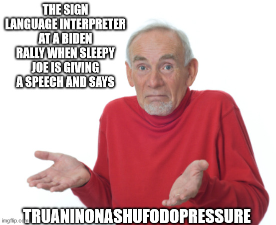 Guess I'll die  | THE SIGN LANGUAGE INTERPRETER AT A BIDEN RALLY WHEN SLEEPY JOE IS GIVING A SPEECH AND SAYS; TRUANINONASHUFODOPRESSURE | image tagged in guess i'll die | made w/ Imgflip meme maker