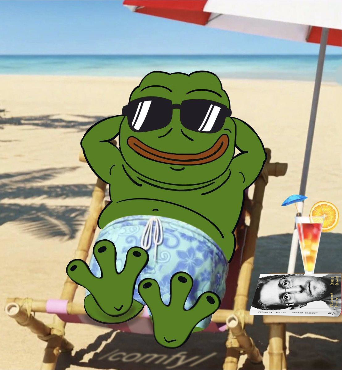 Comfy Pepe Blank Meme Template