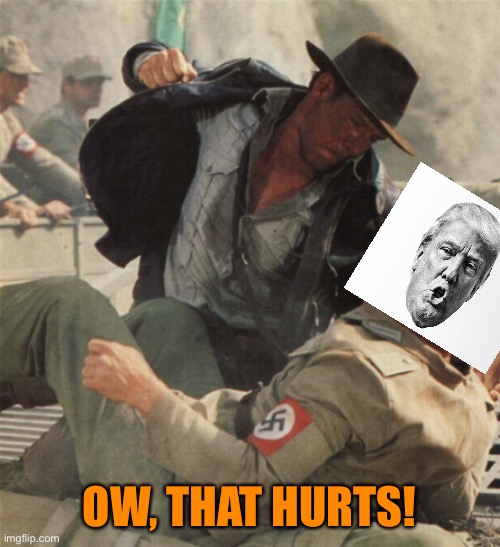 Indiana Jones Punching Nazis | OW, THAT HURTS! | image tagged in indiana jones punching nazis | made w/ Imgflip meme maker