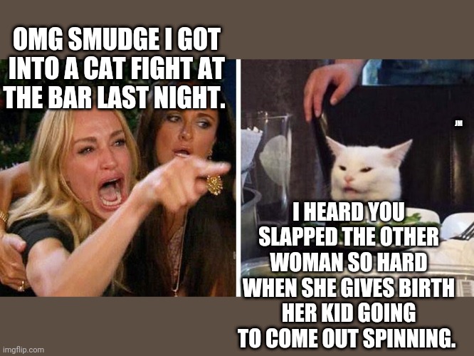 Smudge the cat | OMG SMUDGE I GOT INTO A CAT FIGHT AT THE BAR LAST NIGHT. JM; I HEARD YOU SLAPPED THE OTHER WOMAN SO HARD WHEN SHE GIVES BIRTH HER KID GOING TO COME OUT SPINNING. | image tagged in smudge the cat | made w/ Imgflip meme maker
