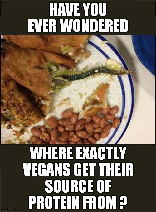 Vegans 'Secret' Diet ? | HAVE YOU EVER WONDERED; WHERE EXACTLY VEGANS GET THEIR; SOURCE OF PROTEIN FROM ? | image tagged in veganism,diet,protein,insects | made w/ Imgflip meme maker