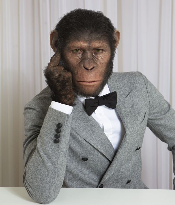 High Quality Pimp chimpin Blank Meme Template