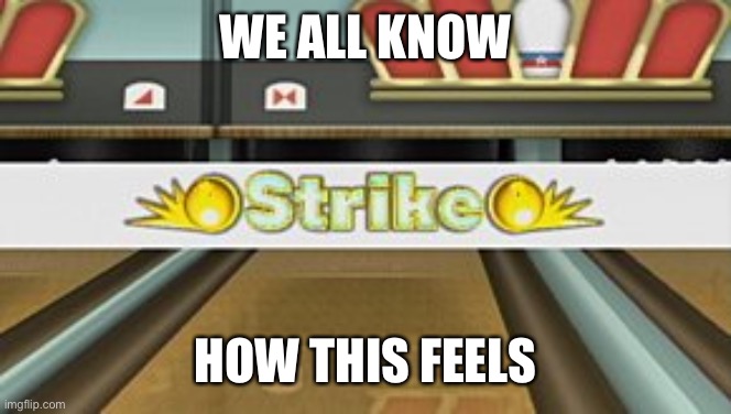 Wii Sports Resort Strike | WE ALL KNOW; HOW THIS FEELS | image tagged in wii sports resort strike | made w/ Imgflip meme maker