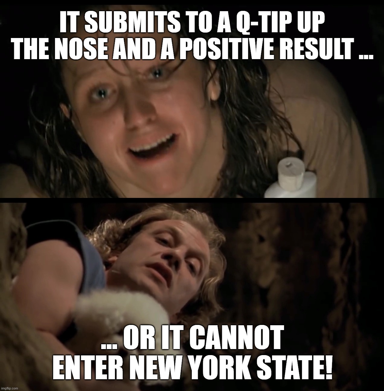 NY COVID INSANITY | IT SUBMITS TO A Q-TIP UP THE NOSE AND A POSITIVE RESULT ... ... OR IT CANNOT ENTER NEW YORK STATE! | image tagged in new york,covid,progressives,insanity | made w/ Imgflip meme maker