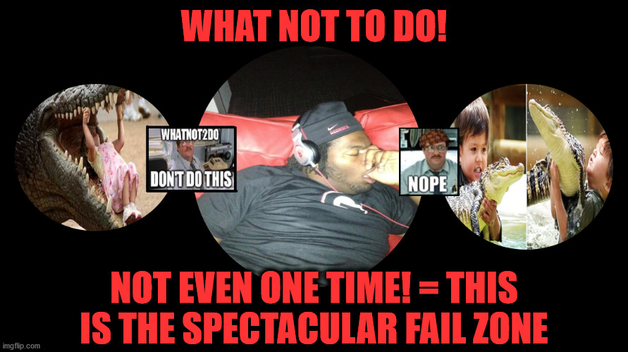 Lessons in What Not To Do | WHAT NOT TO DO! NOT EVEN ONE TIME! = THIS IS THE SPECTACULAR FAIL ZONE | image tagged in task failed successfully,spectacular fail,epic fail,what not to do,the fail zone,failing up big time | made w/ Imgflip meme maker