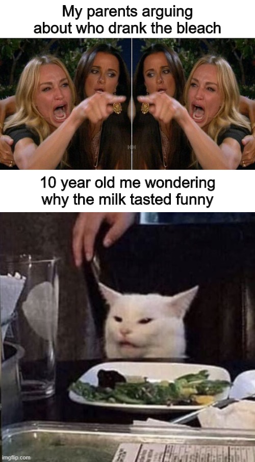Why does the milk taste funny? | My parents arguing about who drank the bleach; 10 year old me wondering why the milk tasted funny | image tagged in memes,funny,oh wow are you actually reading these tags,stop reading the tags,woman yelling at cat,milk | made w/ Imgflip meme maker