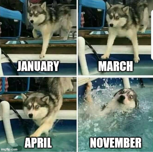 Fucking erte | JANUARY; MARCH; APRIL; NOVEMBER | image tagged in the four stages of a husky mistake | made w/ Imgflip meme maker