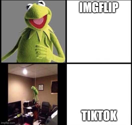 when I see tiktok I commit suicide | IMGFLIP; TIKTOK | image tagged in invest in kermit | made w/ Imgflip meme maker