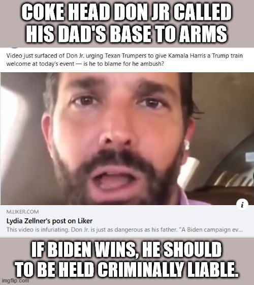 This level of Authoritarian Fascism needs to stop. | COKE HEAD DON JR CALLED HIS DAD'S BASE TO ARMS; IF BIDEN WINS, HE SHOULD TO BE HELD CRIMINALLY LIABLE. | image tagged in fascism,violence,don jr | made w/ Imgflip meme maker