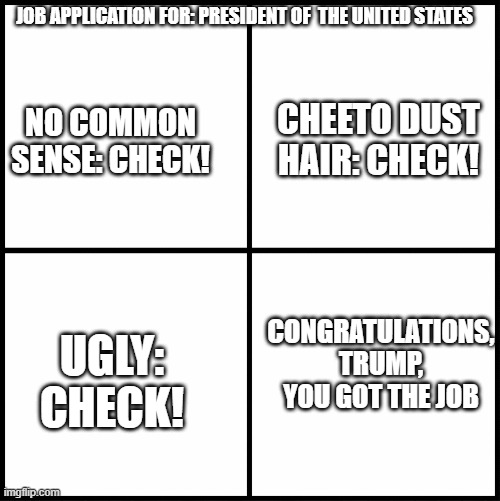 Trump's Job Application Form | JOB APPLICATION FOR: PRESIDENT OF  THE UNITED STATES; CHEETO DUST HAIR: CHECK! NO COMMON SENSE: CHECK! CONGRATULATIONS, TRUMP, YOU GOT THE JOB; UGLY: CHECK! | image tagged in trump,president cheeto | made w/ Imgflip meme maker