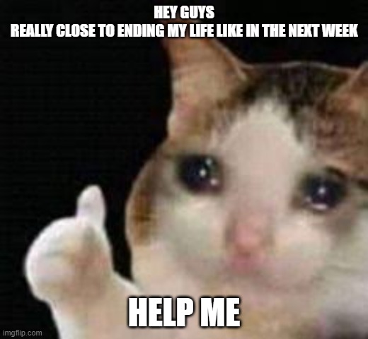 posting this anonomously bc i dont want the attention to myself jsyk | HEY GUYS

REALLY CLOSE TO ENDING MY LIFE LIKE IN THE NEXT WEEK; HELP ME | image tagged in approved crying cat | made w/ Imgflip meme maker