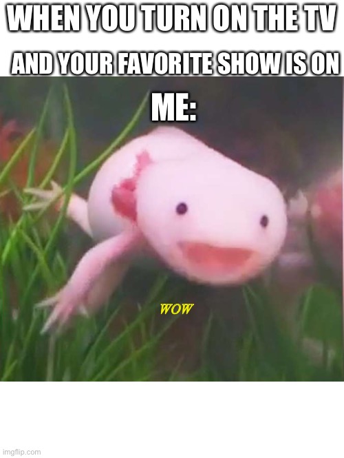 Wow | WHEN YOU TURN ON THE TV; AND YOUR FAVORITE SHOW IS ON; ME:; WOW | image tagged in axolotl | made w/ Imgflip meme maker